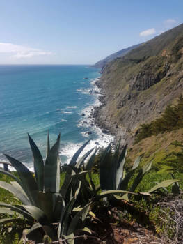 California - California dreaming