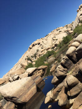 California - Joshua Tree NP