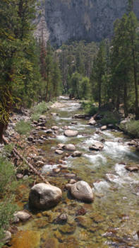 Sequoia en Kings Canyon National Park - Rustgevende omgeving