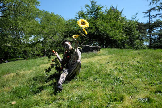 New York - Central Park
