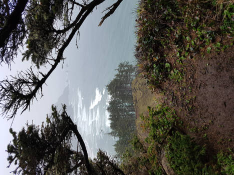 Oregon - Op grote hoogte uitzicht op zee, rotsen en bomen, ondanks de hoosbuien