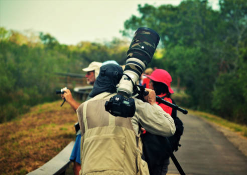 Everglades National Park - Shout-out naar al die fotografen die de natuur zo mooi vastleggen :)