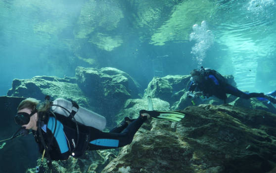 New Mexico - Cenotes Mexico