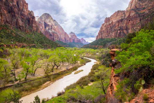 Zion National Park - Zion in spring