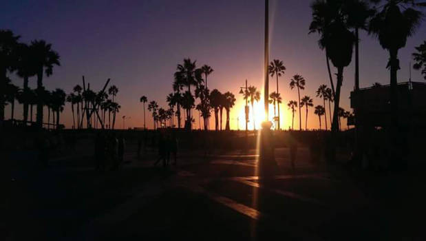 Venice Beach - De zonsondergang door de palmbomen van Venice Beach.