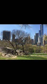 New York - Central Park @ new york