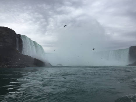 Niagara watervallen - De stille kracht van water
