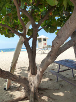 Oahu - A good day to surf!