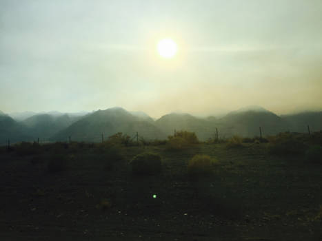 Yosemite National Park - Bosbranden