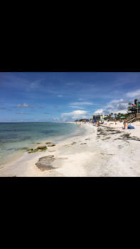 Rondreis Highlights of Florida - Sarasota beach