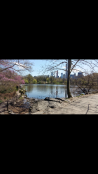 Central Park - Het mooie Central Park