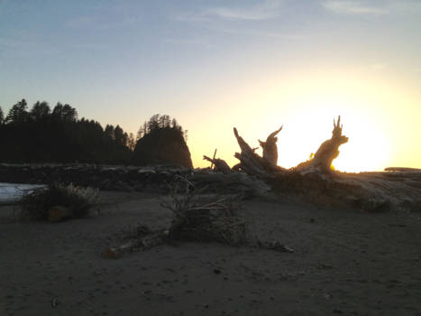 Olympic Peninsula - La Push First Beach sunset