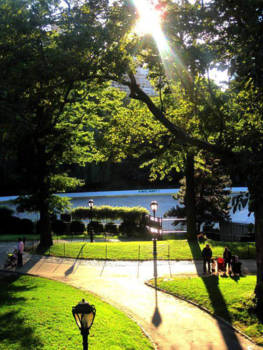 Central Park - Central park
