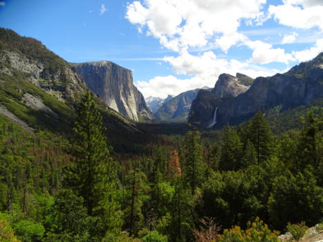 Yosemite National Park - Yosemite national park