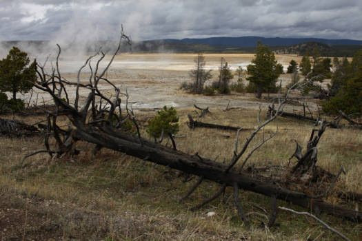 Yellowstone National Park - lost in beauty