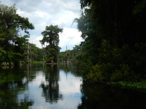 Florida - Ons Honeymoon en een foto waar de film the creature of the black lagoon is gemaakt