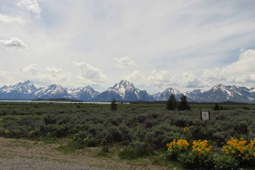 Grand Teton National Park - Schitterende uitzichten