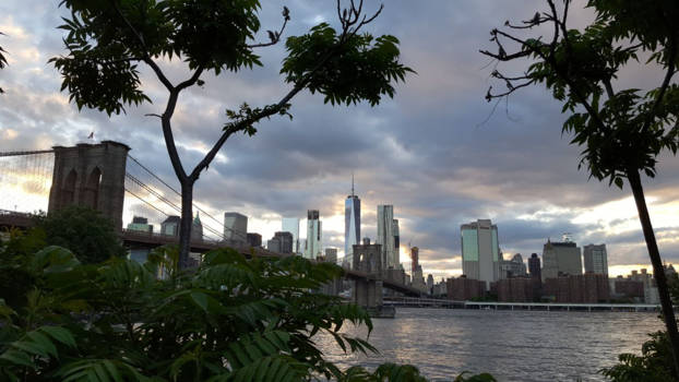 New York - Mooiste plekje van new york!