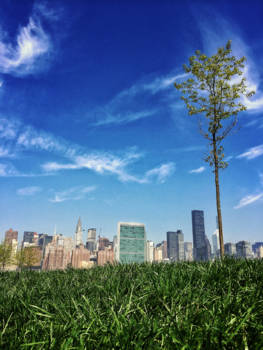 New York - Urban nature in the big Apple