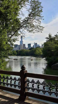 New York - Central Park Skyline