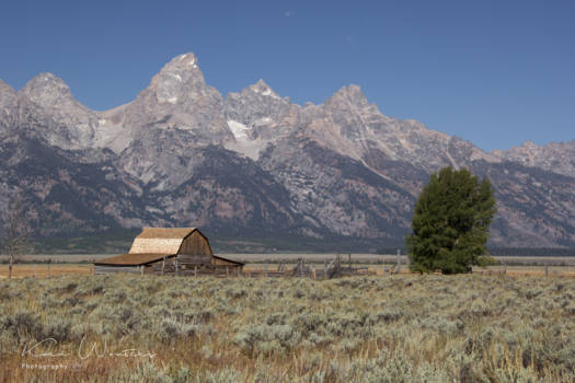 Grand Teton National Park - Mormon Row