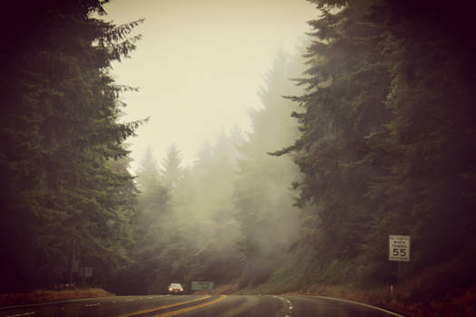 Oregon - Misty mornings.....