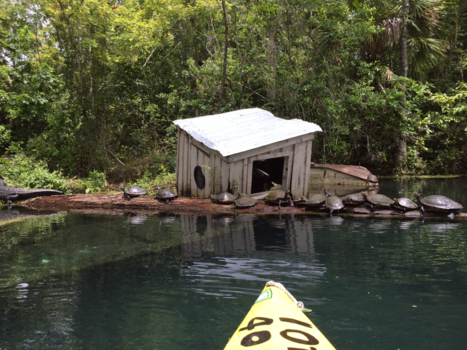 Florida - Florida vakantie 2017
