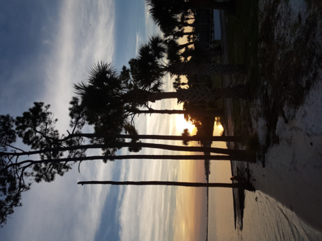 Stranden Florida - Zonsondergang in Walton Beach