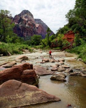 Yosemite National Park - Adventure at Yosemite