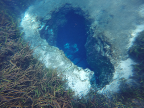 Florida - Blue hole