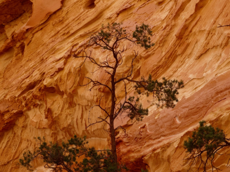 South Dakota - Vlammend steen