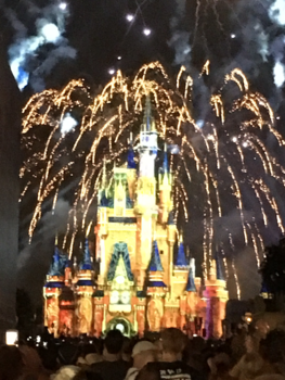 Florida - Magic kingdom