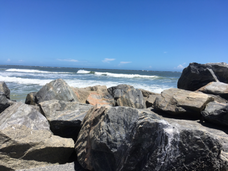 Florida - Coquia Beach