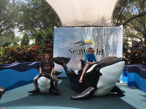 Florida - Seaworld