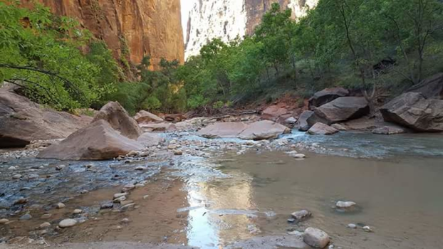 Zion National Park - Schaduw