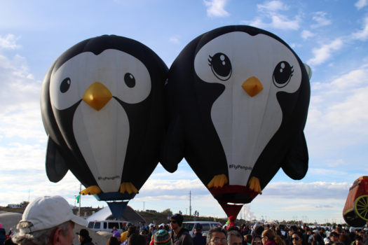 New Mexico - Zo vrij als een vogel. Albuquerque , USA