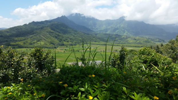 Kauai - Hanalei valley