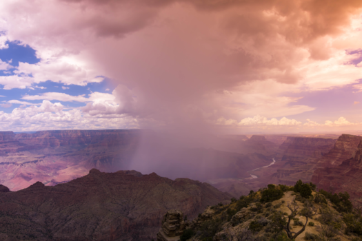 Grand Canyon National Park - Een late namiddag........