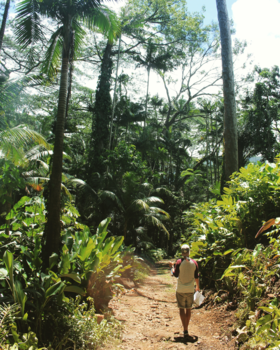 Hawaii - 'Always take the scenic route'