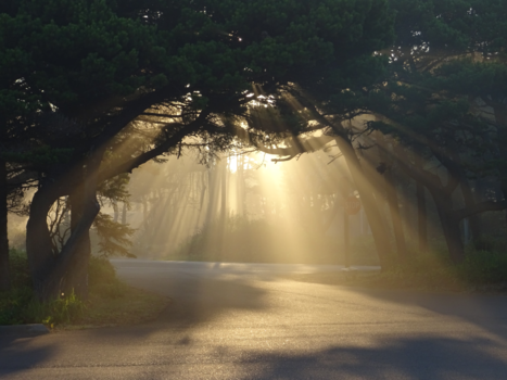 Oregon - Good morning, Oregon coast!