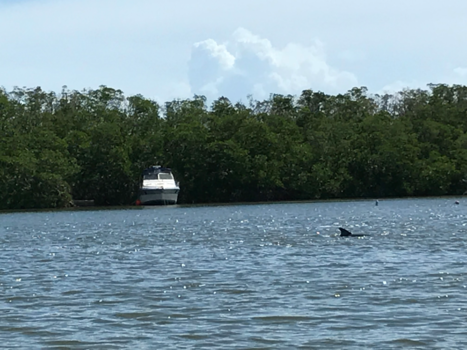 Florida Keys - Gilbert beach resort met dolfijnen