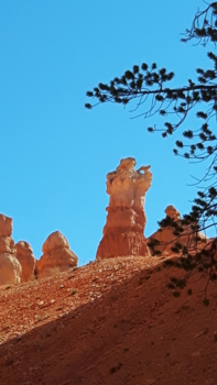 Bryce Canyon National Park - Queen Elizabeth wordt je op geattendeerd maar heeft iemand ook de houthakker gezien?
