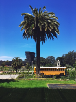 San Francisco - MH de Young Memorial Museum in Golden Gate Park
