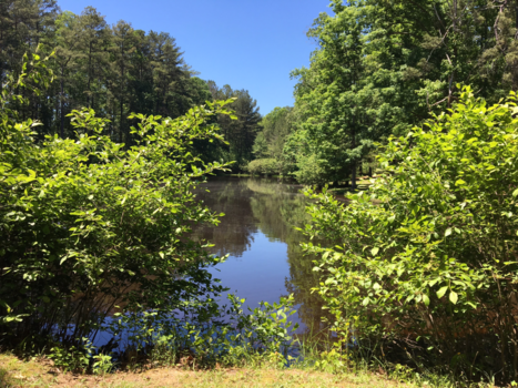 Georgia - Midden in een woonwijk
