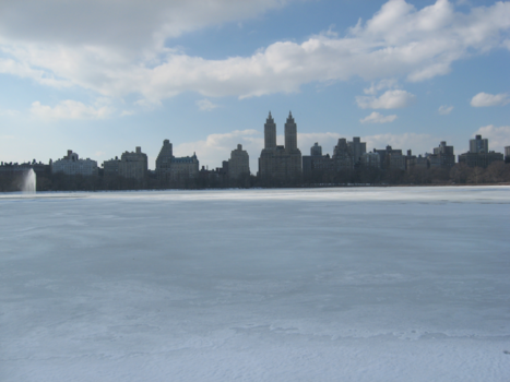 Central Park - Snow Garden
