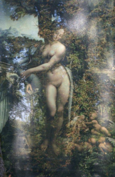 Big Island (Hawaii) - madonna in the woods