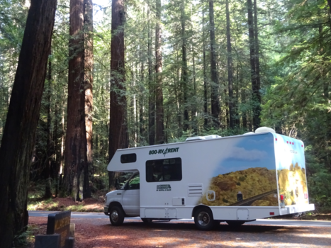 California - Met de camper onder de redwoods