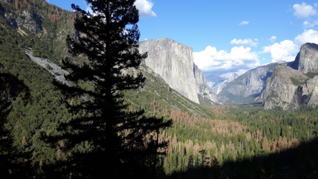 California - Gelukkig nog compleet