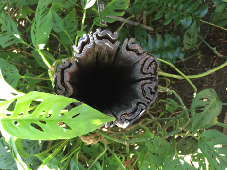 Balboa Park - Botanical Garden