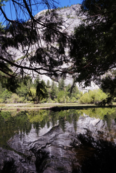 Yosemite National Park - Reflections
